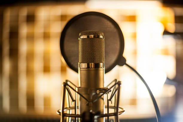 A condenser microphone in a recording studio.