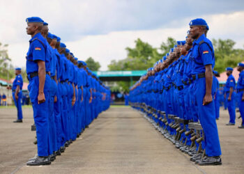 Mental Health for Police Officers Needs Proper Legislation and Collaboration to Combat.